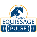 Equissage Pulse