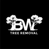 BW Tree Removal