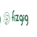 Fizgig App