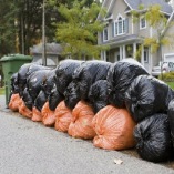 Twickenham Skip Hire