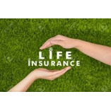 Xenia Houser Independent Licensed Insurance Agent