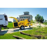 City of Churches Tree Services