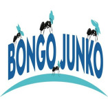 Bongo Junko - Junk Removal Downtown Houston