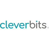 cleverbits GmbH