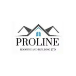 prolineroofing