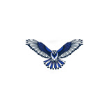 Eagleflyweb